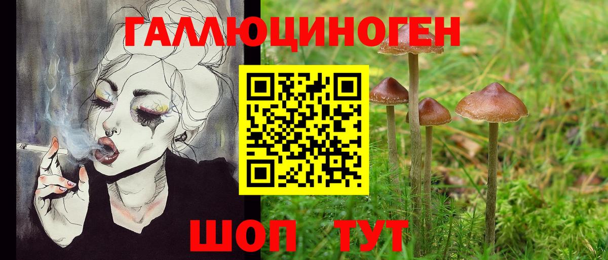 Галлюциногенные грибы Magic Shrooms  Вход с VPN  Междуреченск 